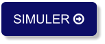 SIMULER 